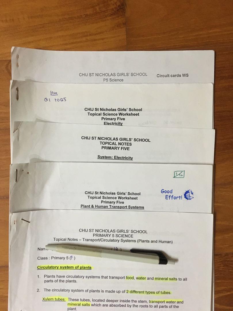 P5 Science Notes Chij St Nicholas Girls School Everything Else On Carousell