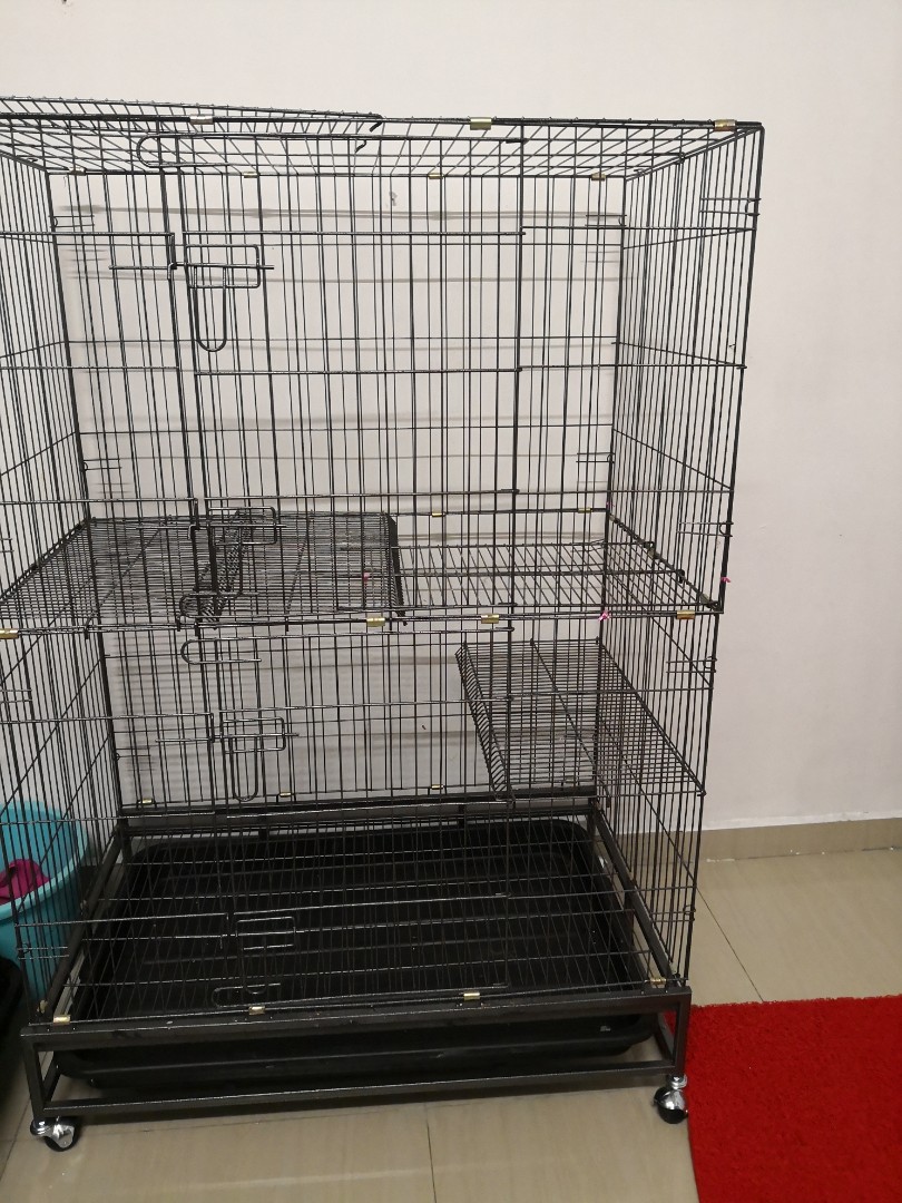 Sangkar Kucing terpakai untuk dijual, Pet Supplies, Pet 