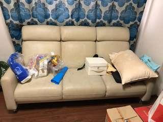 Used Sofa