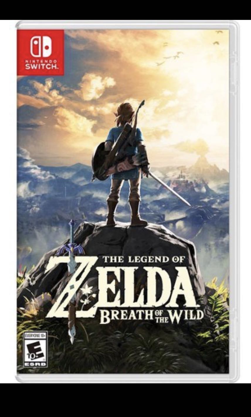 Zelda switch, Video Gaming, Video Games, Nintendo on Carousell