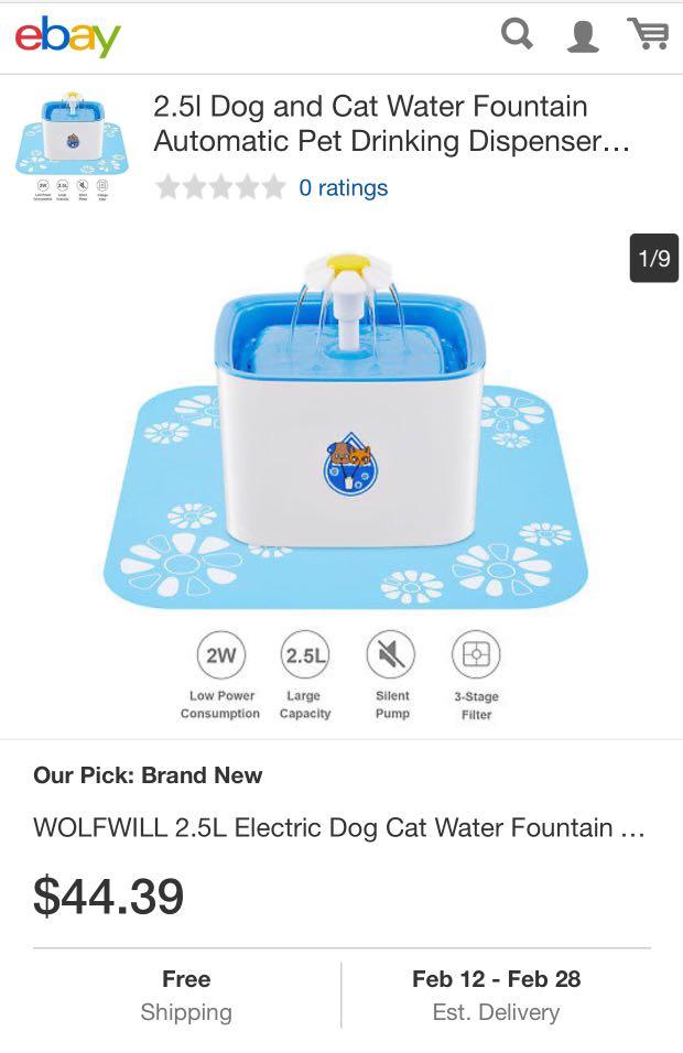 Beacon pet fountain shop