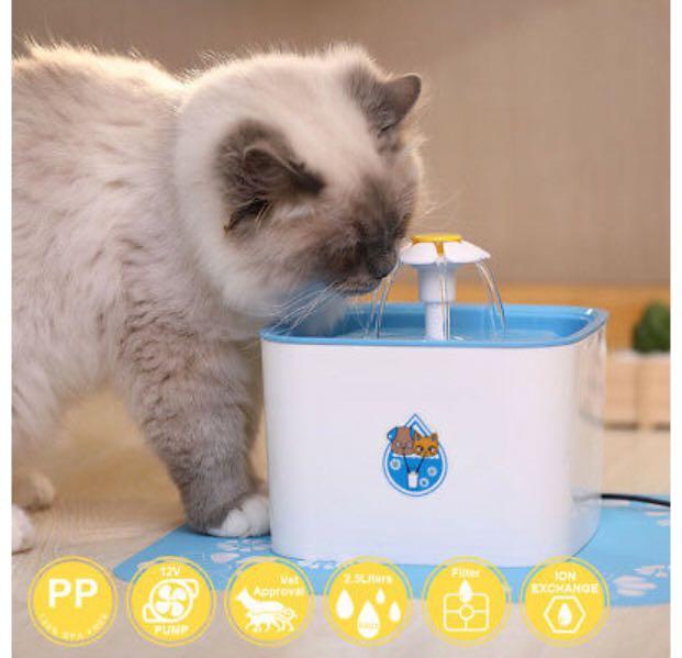Beacon pet sales fountain