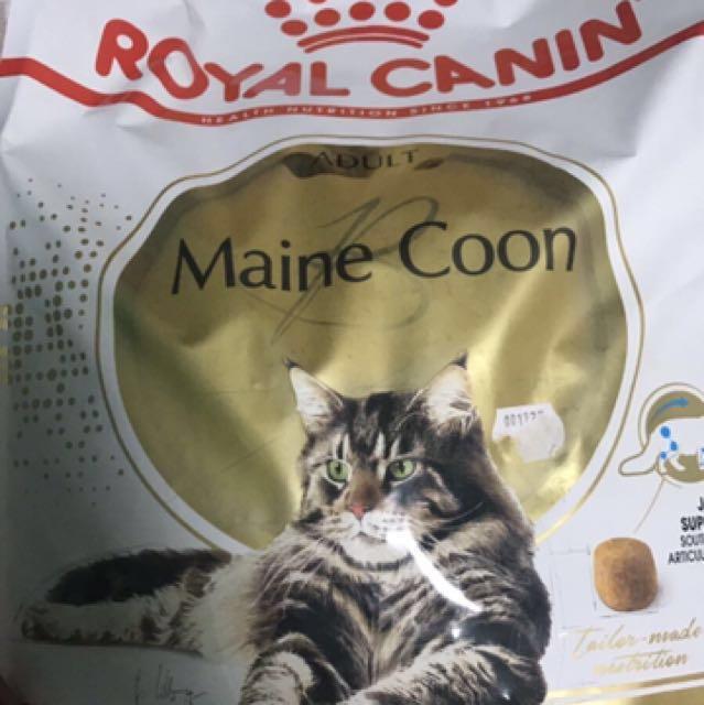 Royal Canin Maine Coon Cat Food Pet Supplies On Carousell