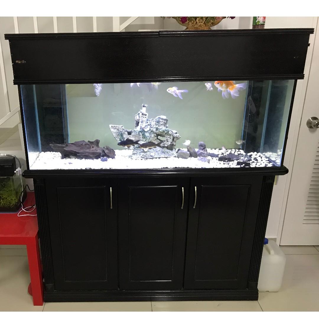 Akuarium 4 Kaki Untuk Dijual Pet Supplies Pet Accessories On Carousell
