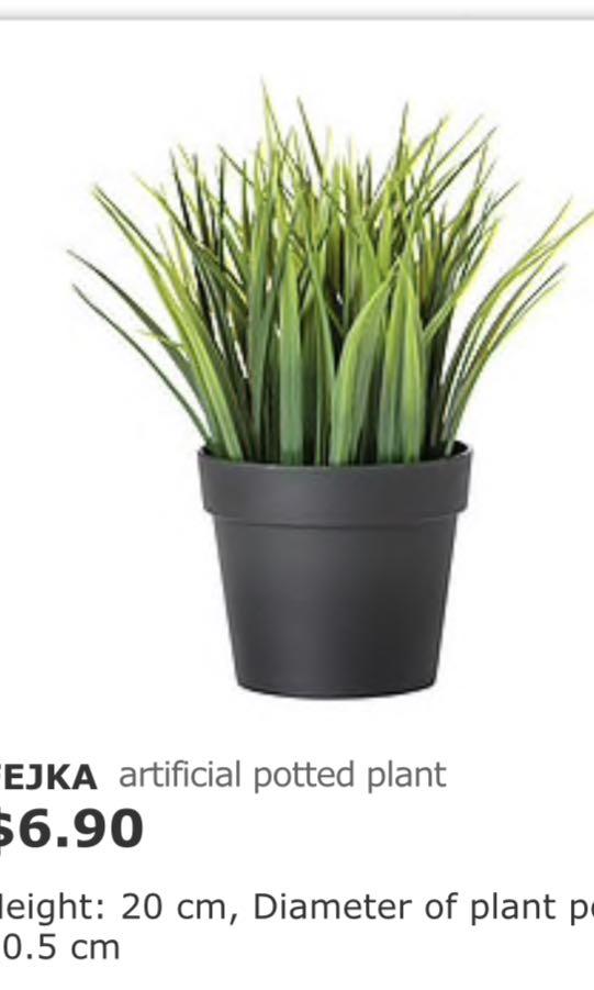Artificial plants from IKEA, Furniture & Home Living, Home Decor