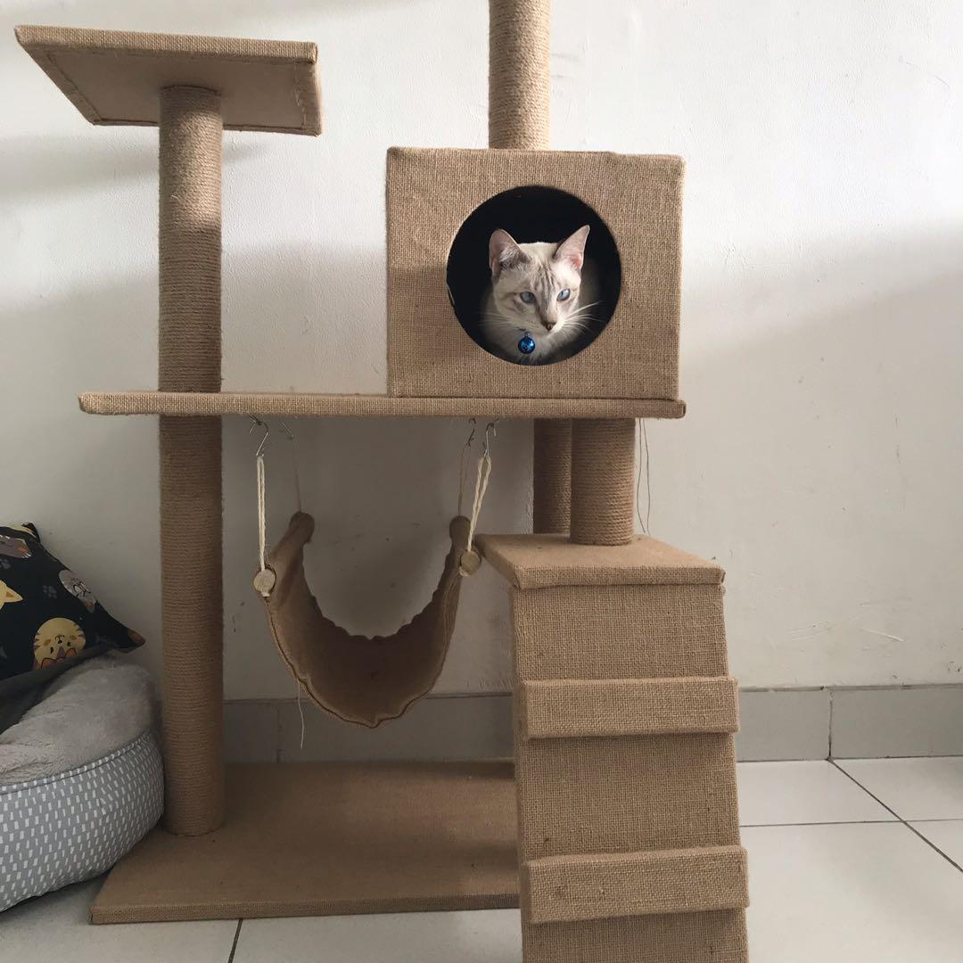Condo kucing discount