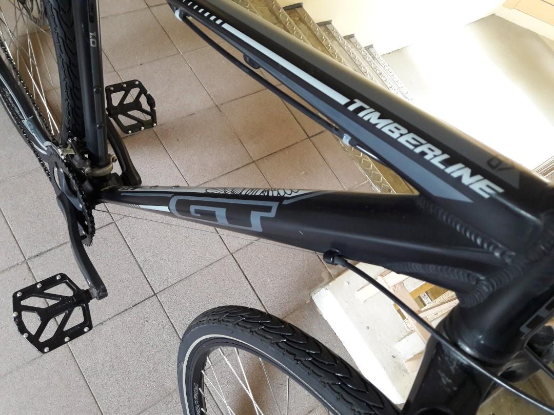 Gt shop timberline 2019