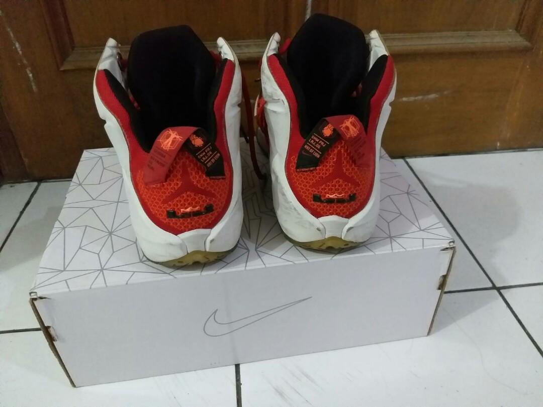 lebron 12 lion