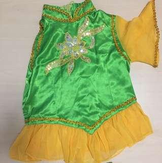 Satin Green And Yellow Gold Costume 5-7 YO