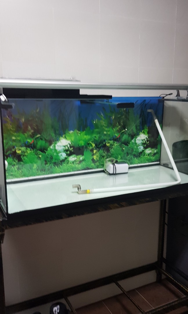 photo 4Ft Fish Tank For Sale Singapore carousell