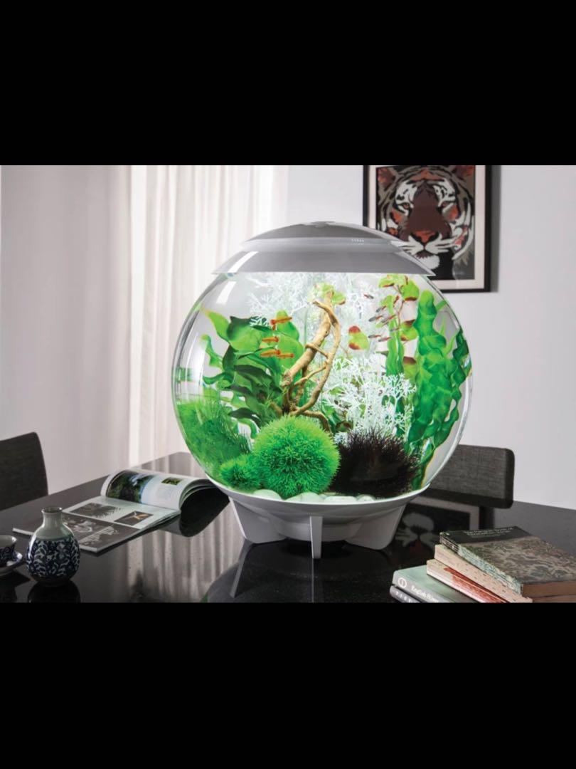 英國著名生態水族品牌oase Biorb 仿真水族用品水草球 全新正品 適合魚缸 龜缸 淡海水缸 寵物用品 寵物飾物 Carousell
