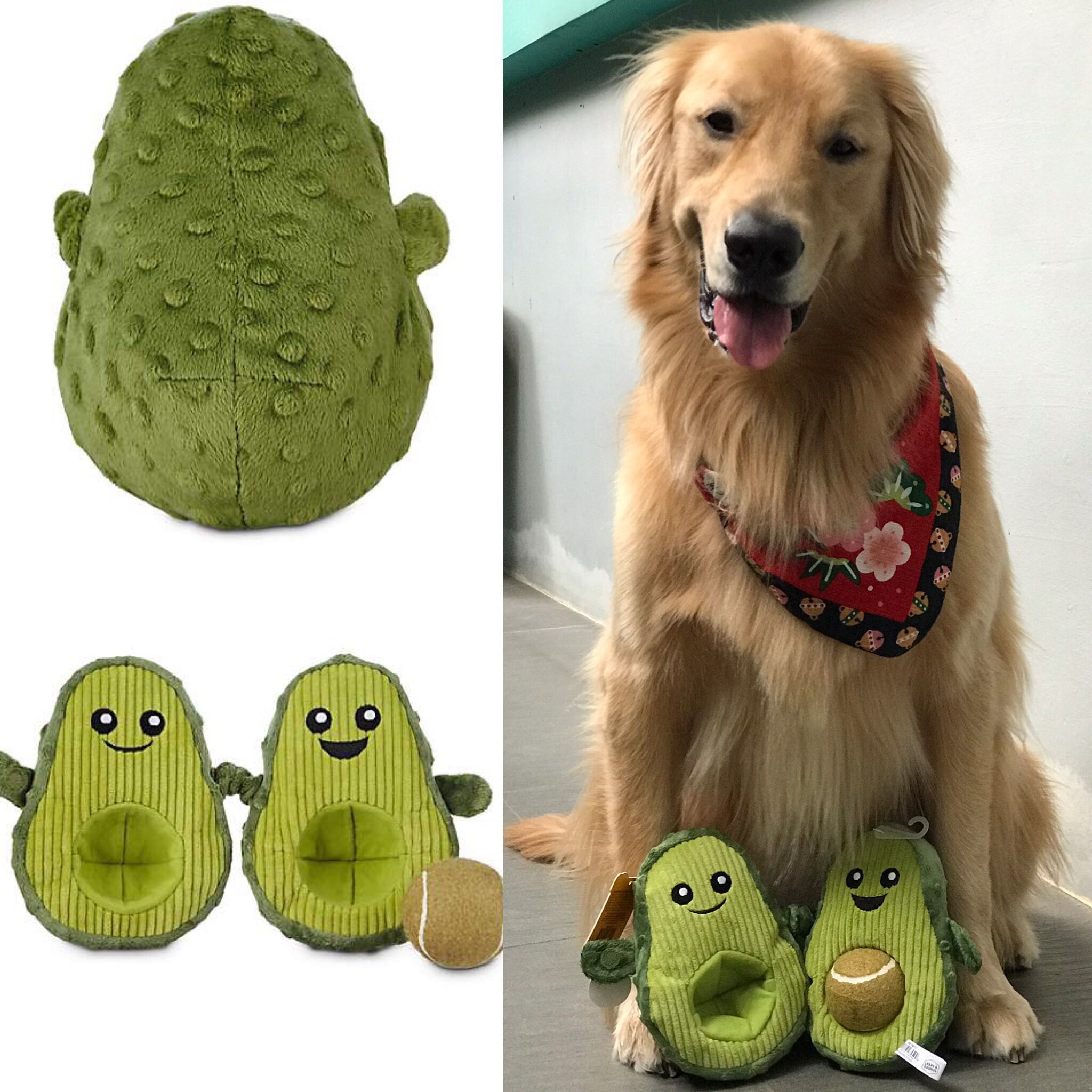 avocado dog toy