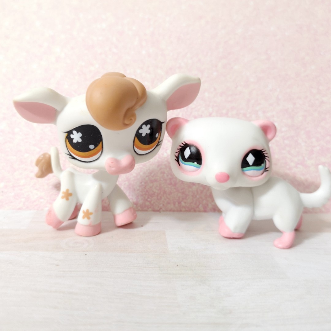 lps cow