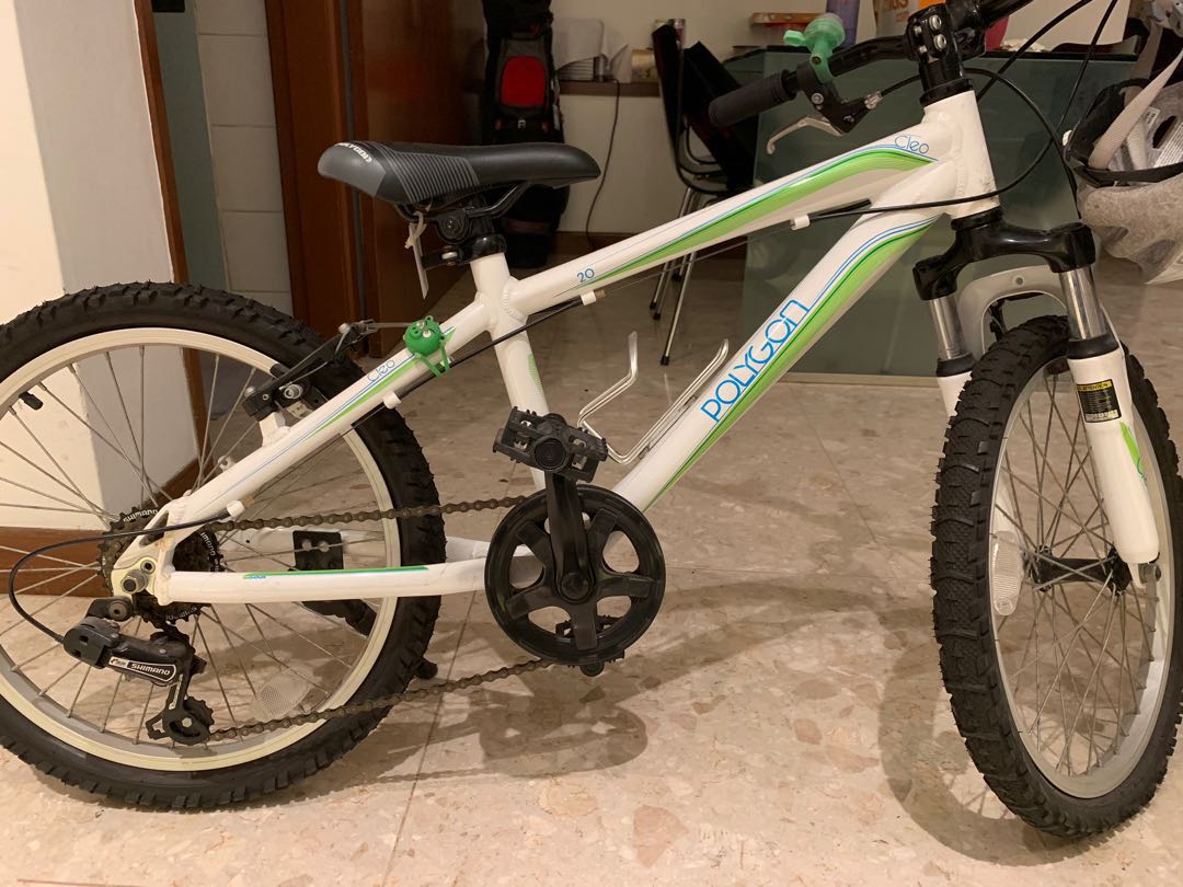 polygon cleo 2.0 2019