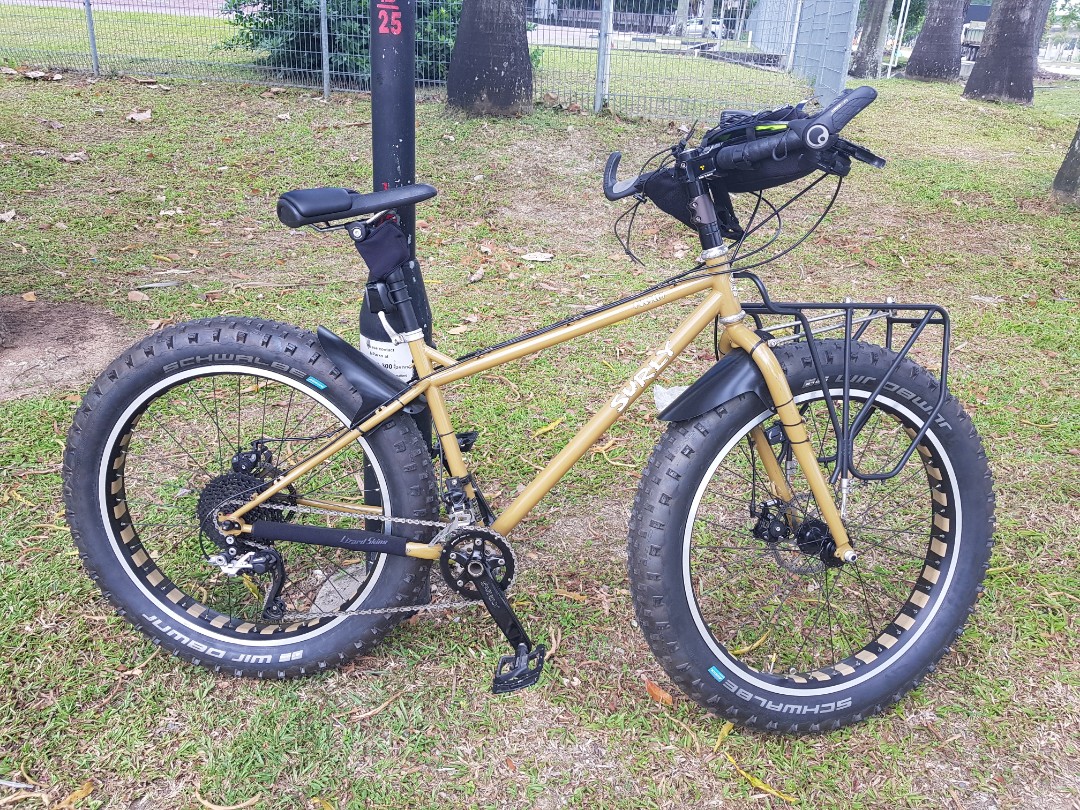 surly fat bike