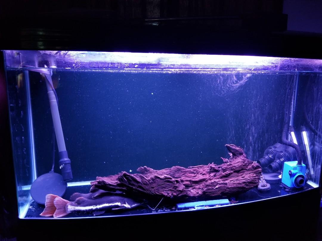 4 Ft Fish Tank With Solid Wood Cabinet Pet Supplies For Fish