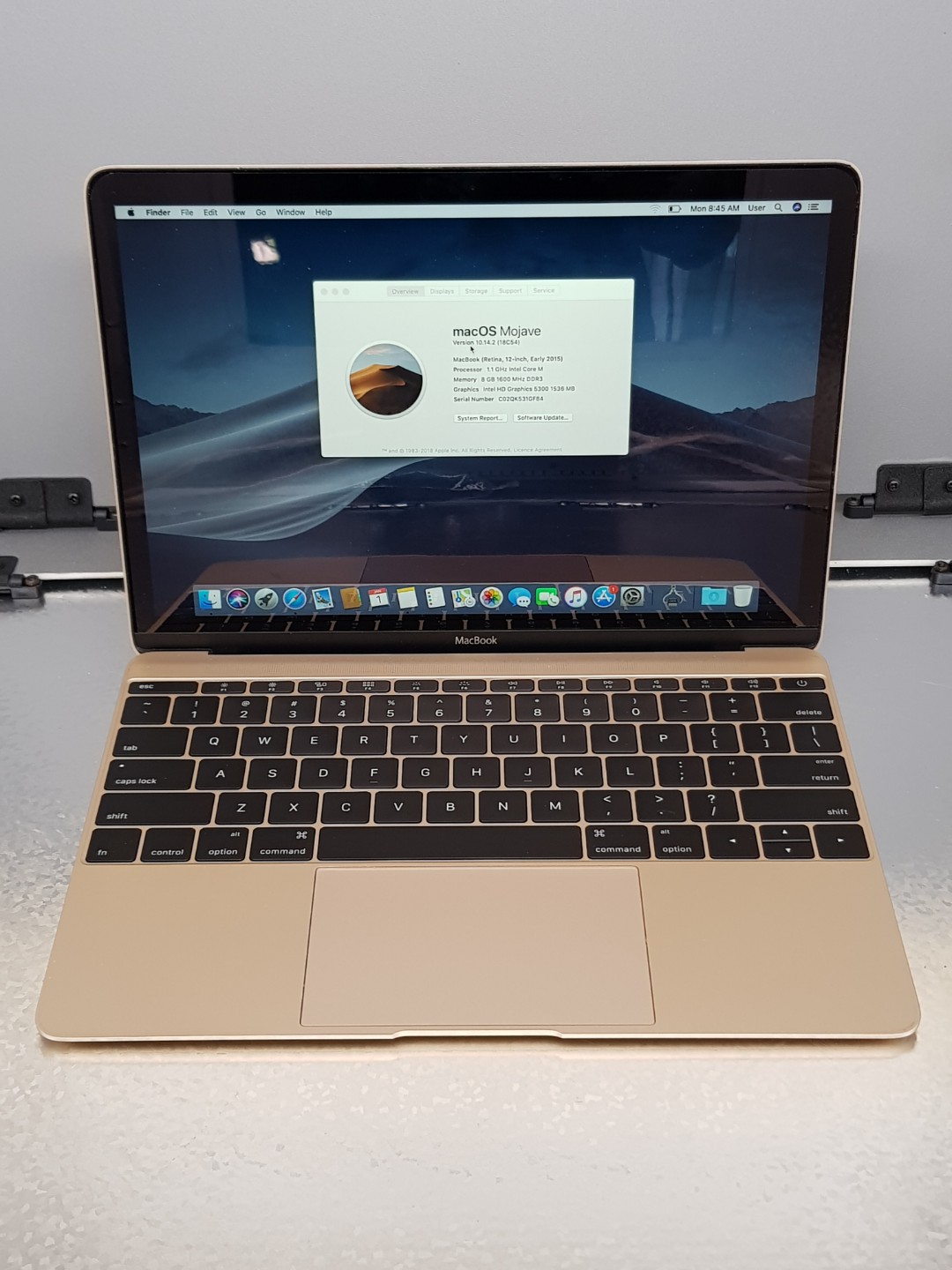 Apple macbook gold 12 inch shemale emma