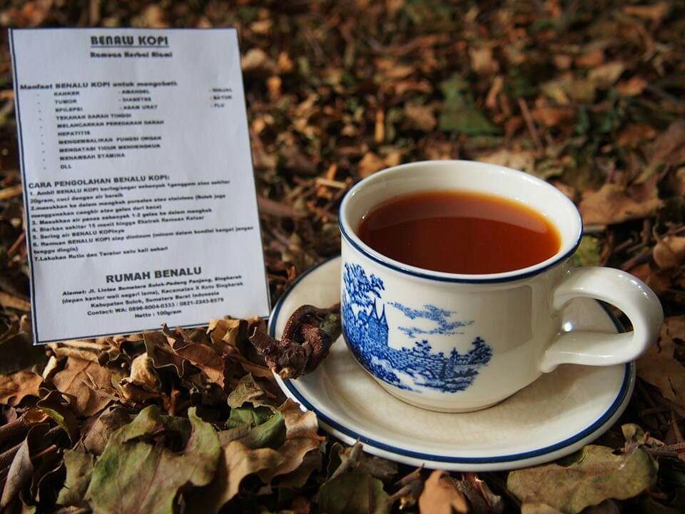 Manfaat Benalu Kopi Untuk Kesehatan