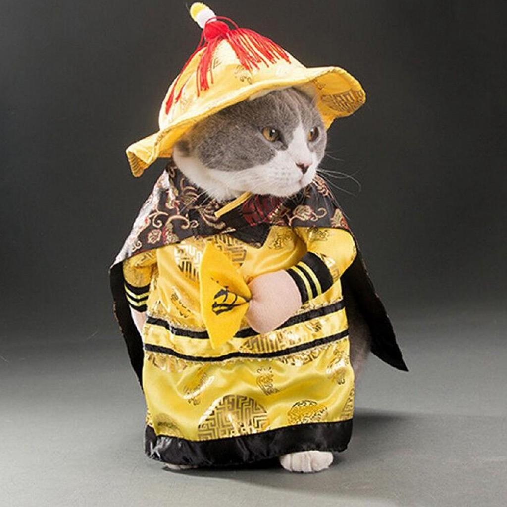 Cny Instock Clearance Pet Cat Or Dog Emperor Chinese New Year Costume Pet Supplies For Cats Cat Accessories On Carousell