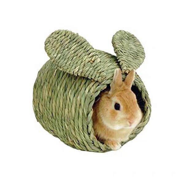 Rabbit shop hay house