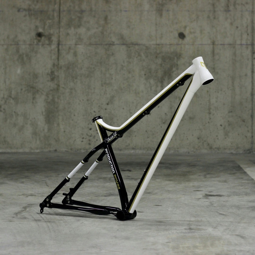 Gt hardtail frame on sale