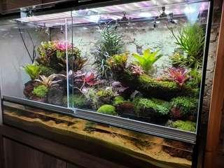 Paludarium