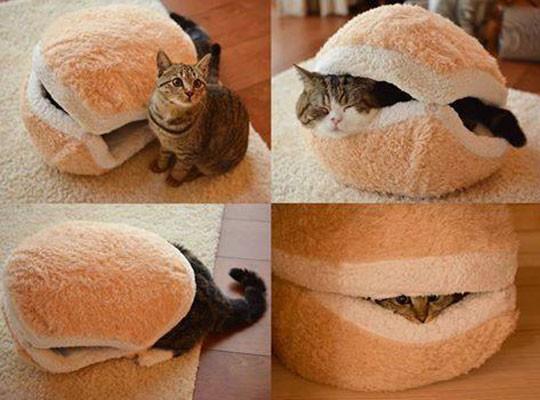 Cat sales macaron bed