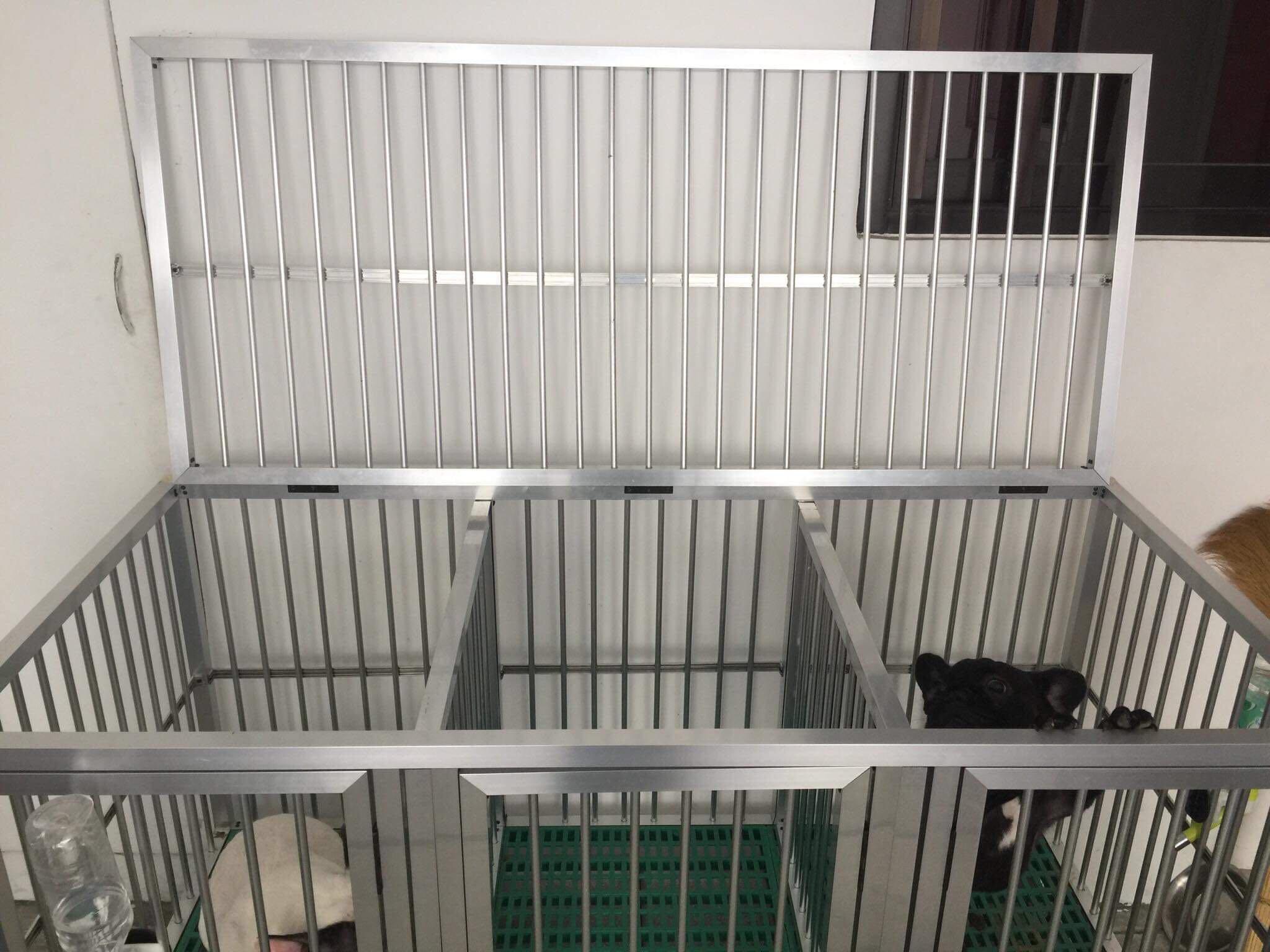 3 door dog cage 2025