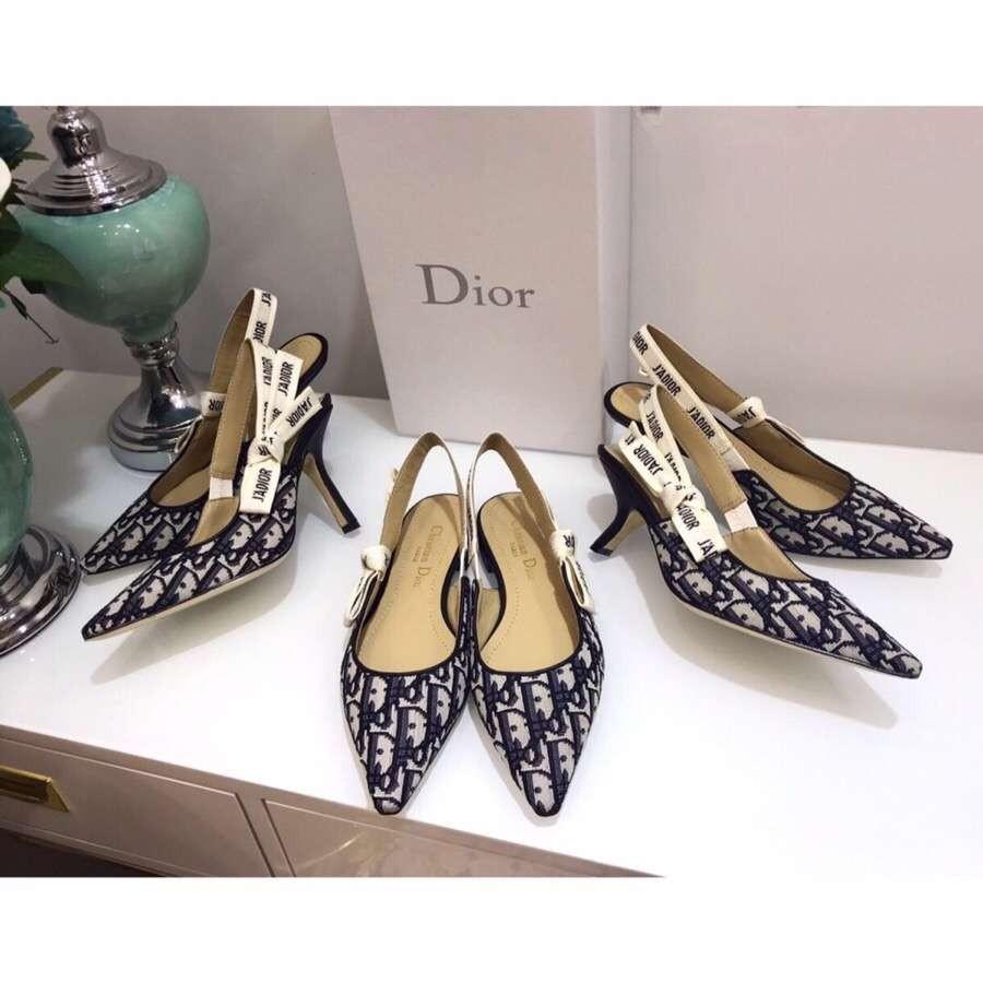 Dior oblique 2025 womens
