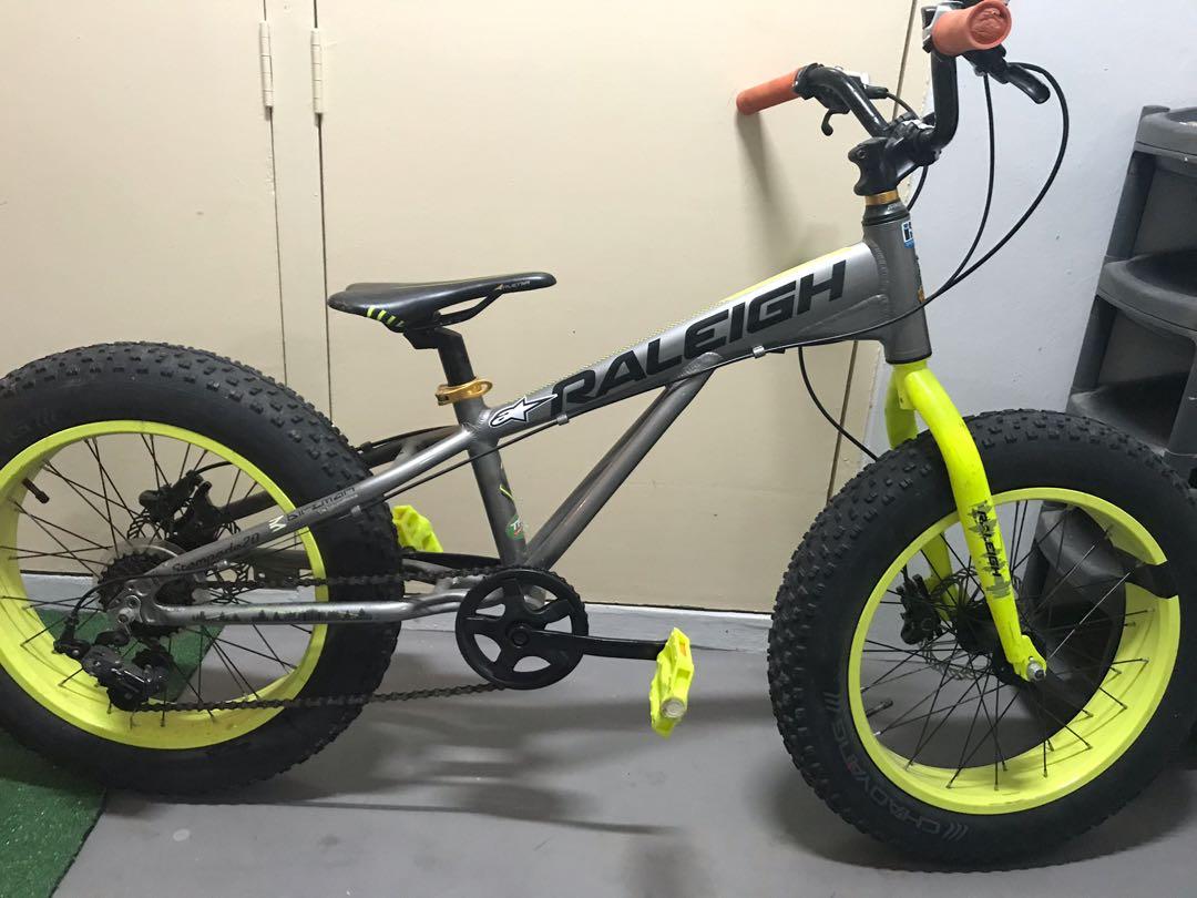 fat bike raleigh