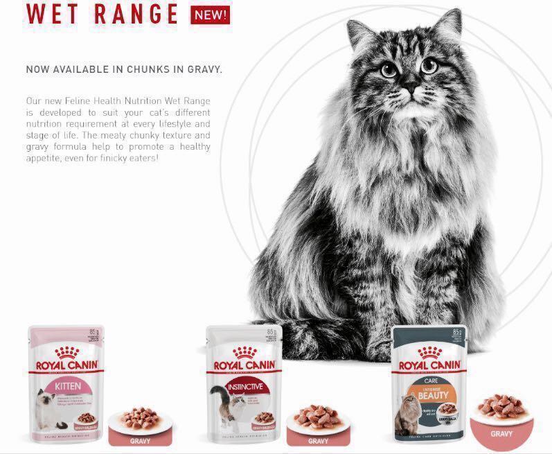 Out Of Stock Royal Canin Wet Food For Cat Pet Supplies For Cats Cat Food On Carousell