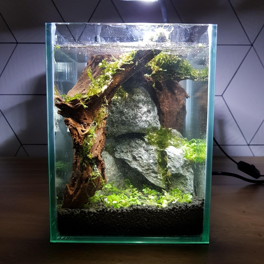 12cm X 12cm Cube Mini Nano Aquascape Tank Pet Supplies For Fish