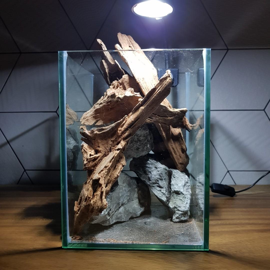 12cm x 12cm cube Mini Nano Aquascape Tank, Pet Supplies ...