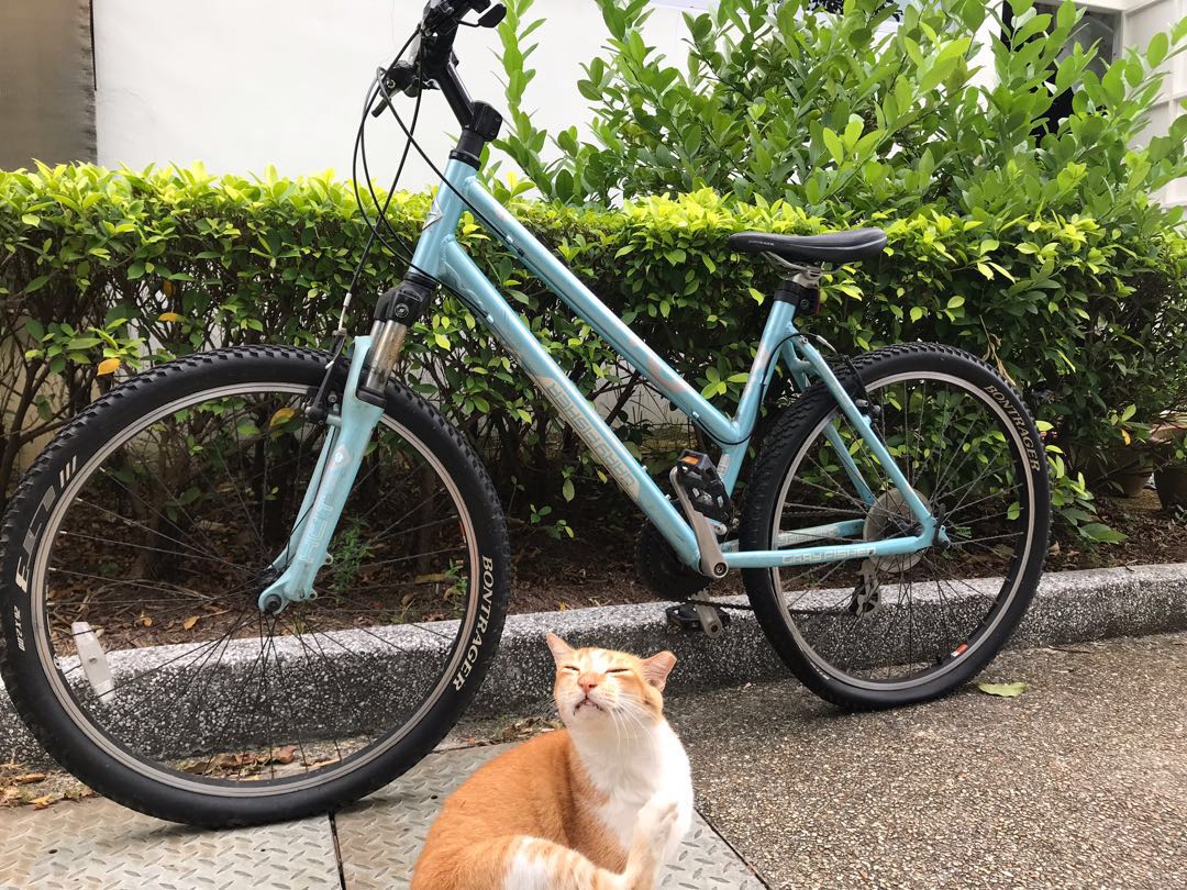 Bicicleta trek skye 2025 s