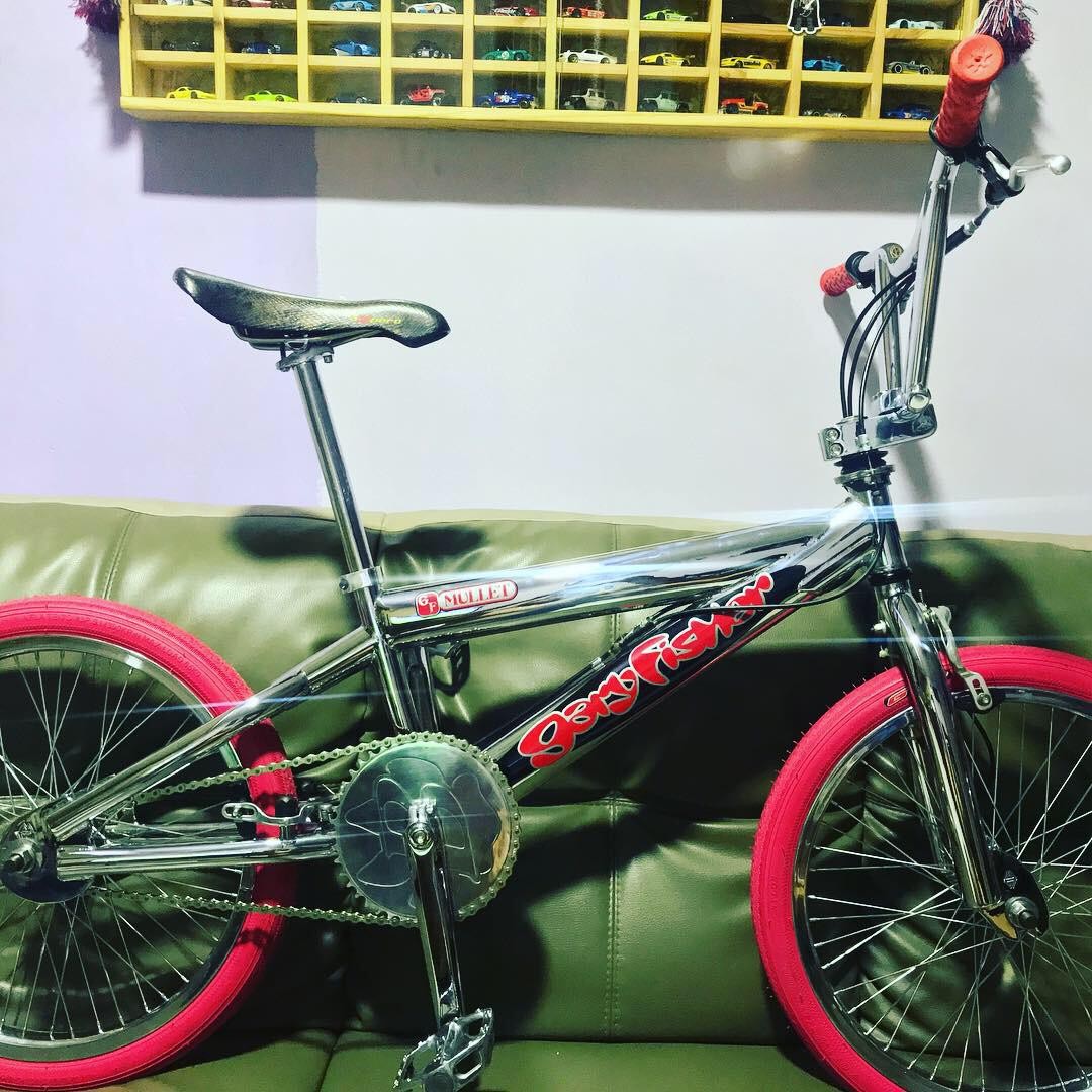 Gary 2025 fisher bmx