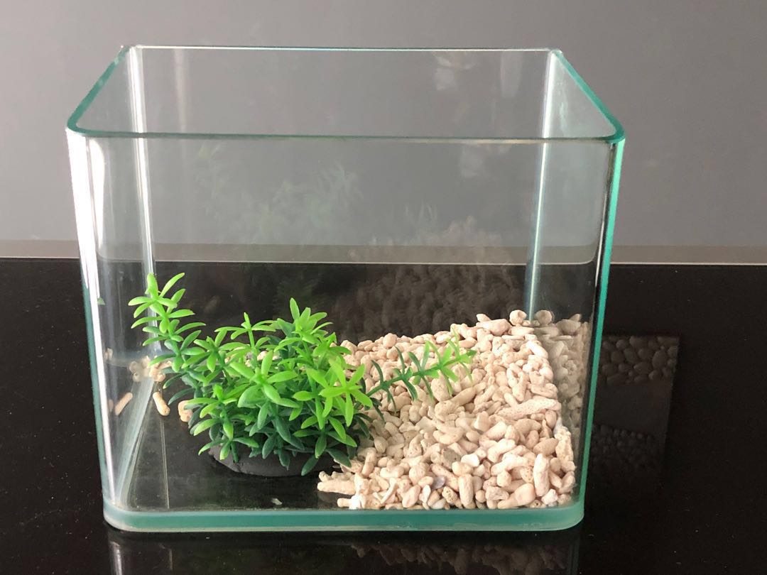 aquarium glass for sale