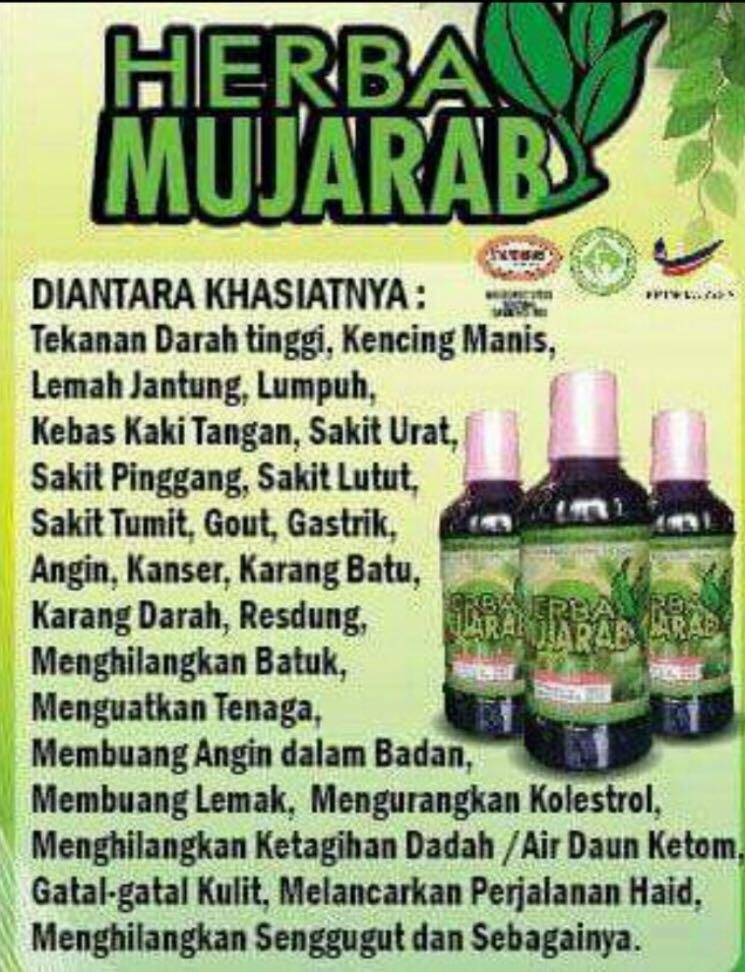 Minuman Herba Penawar Darah Tinggi Kencing Manis Buah Pinggang Health Beauty Skin Bath Body On Carousell