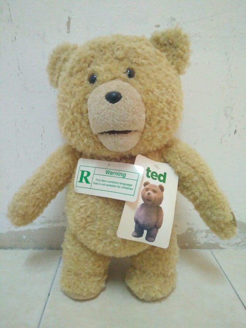 TALKING TED PLUSH DOLL WITH MOVING MOUTH Hobbies Toys