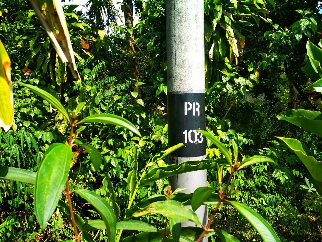 Tanah Lot, Parit Raja, Batu Pahat, Johor, Property, For Sale on Carousell