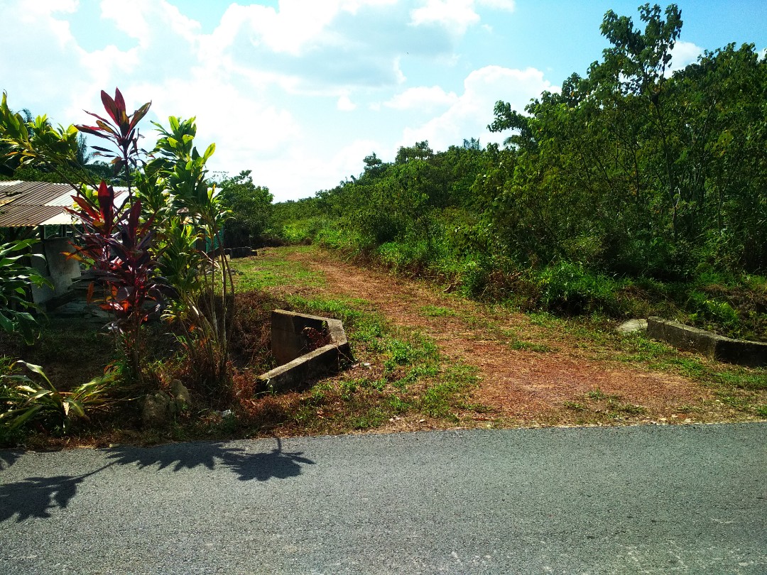 Tanah Lot, Parit Raja, Batu Pahat, Johor, Property, For Sale on Carousell