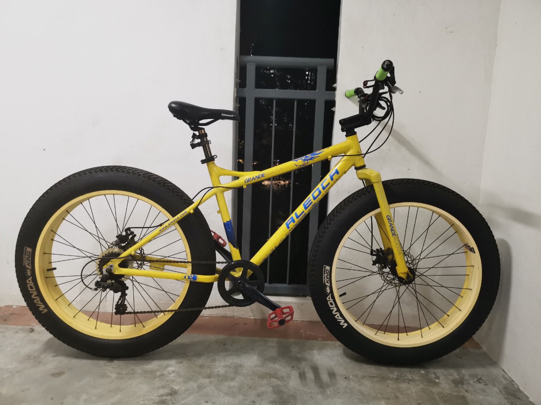 Aleoca fat bike price clearance