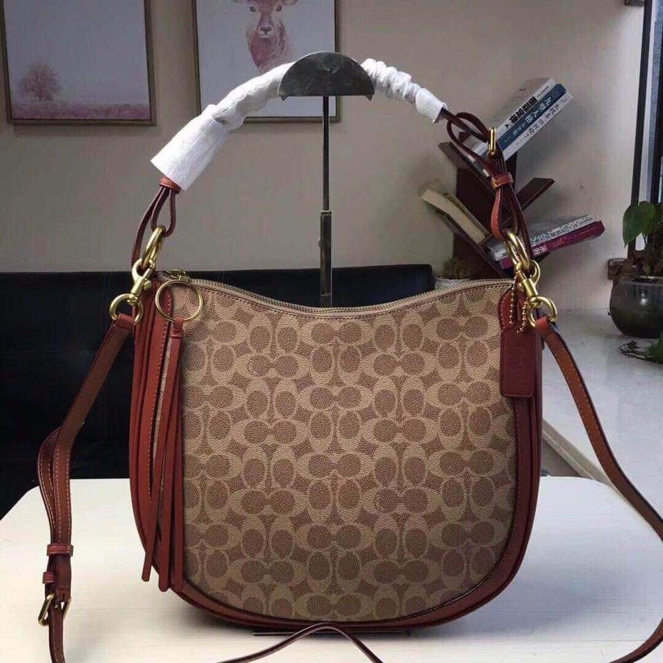 coach tan hobo bag