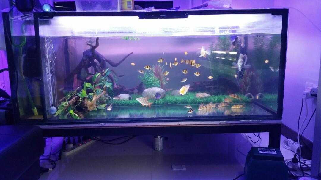 low fish tank stand
