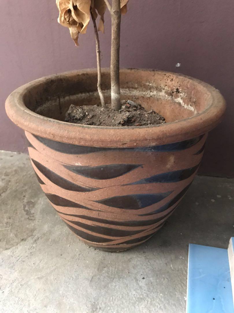 Pasu Bunga Home Furniture Gardening On Carousell