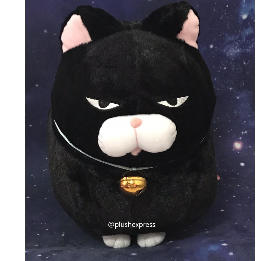 kuromame cat