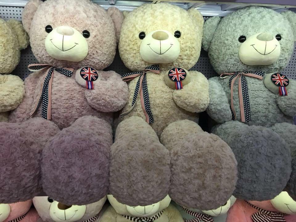 5ft teddy