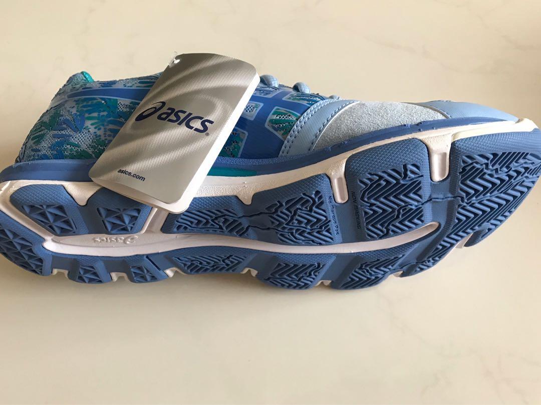 netburner professional 13