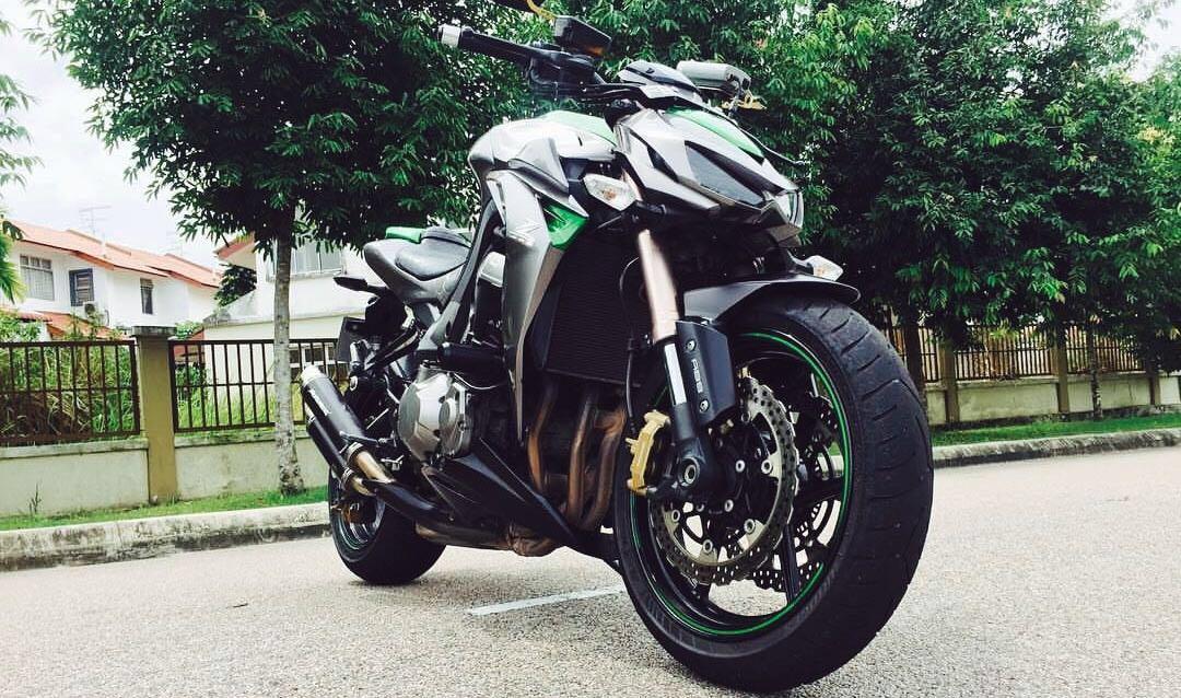 Beastly z1000 new arrivals