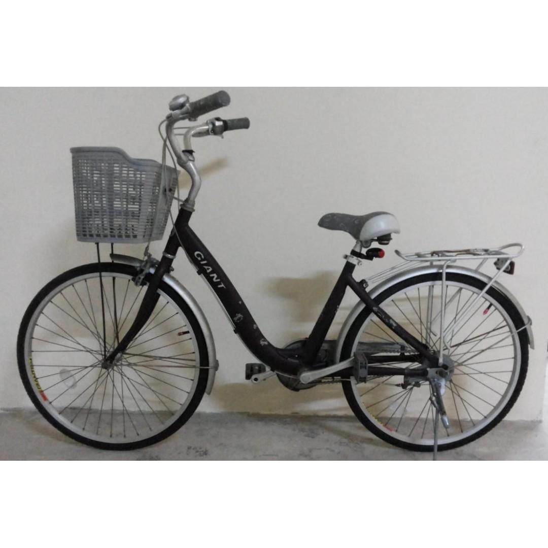 giant lady bike