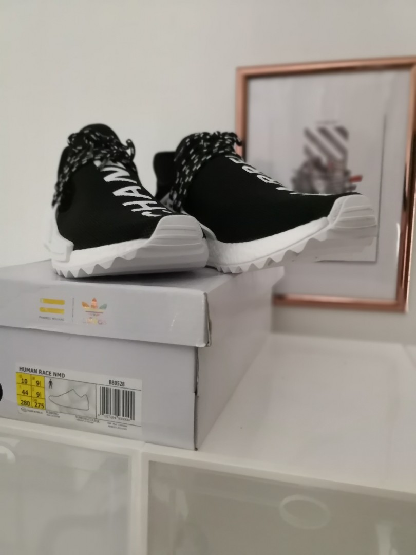 pk god human race